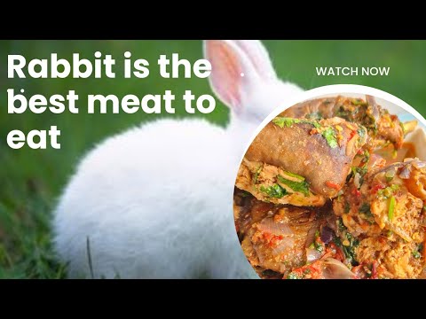 Why You Should Be Eating More Rabbit ~How To Cook Rabbit Perfectly #rabbitmeat