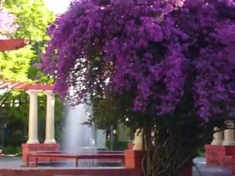 Plaza Sarandí de la ciudad de Durazno - República Oriental del Uruguay