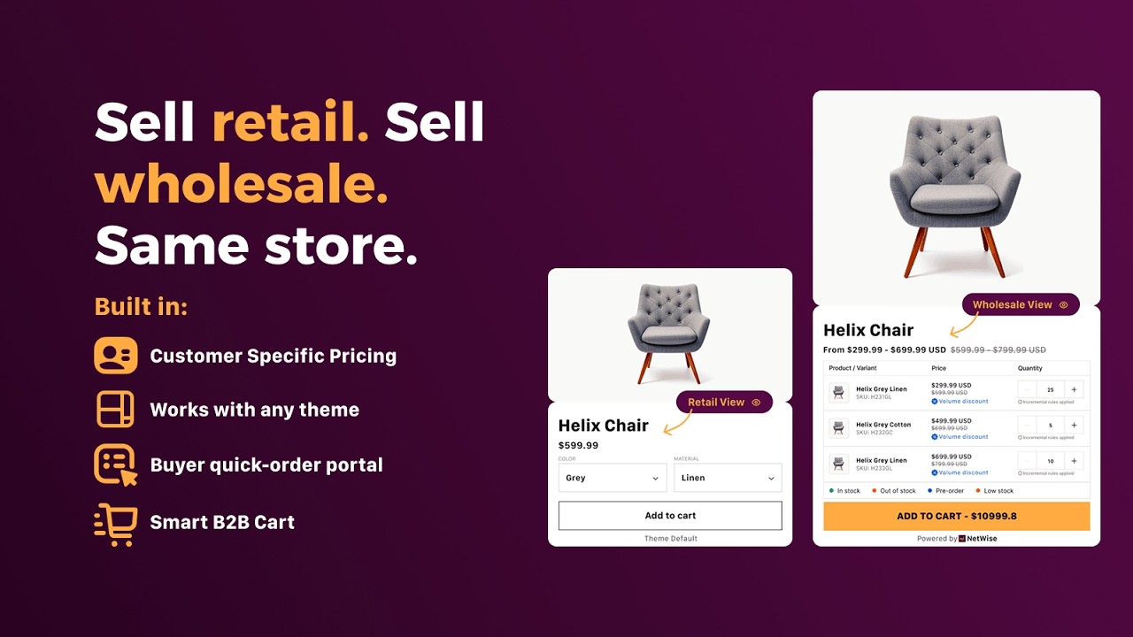 NetWise B2B Shopify app demo video thumbnail