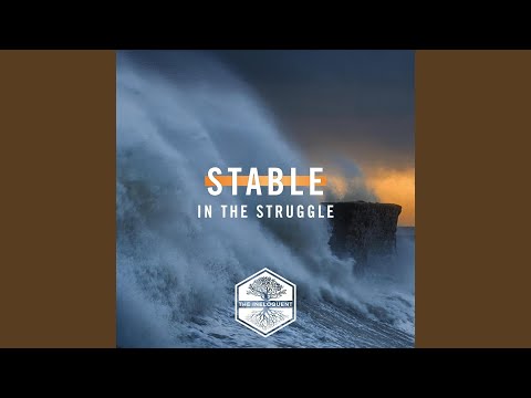 Stable in the Struggle