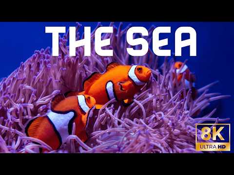 Untold Earth: Greatest Natural Wonders🌊