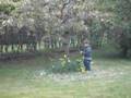 Flower Destroyer