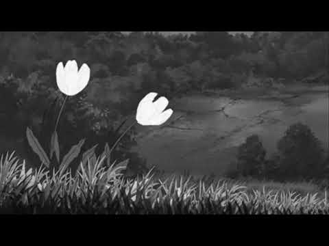 Studio Wiatrak (Majk) - Wśród trawy i kwiatów