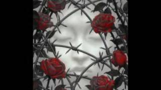 Barbed Wire and Roses