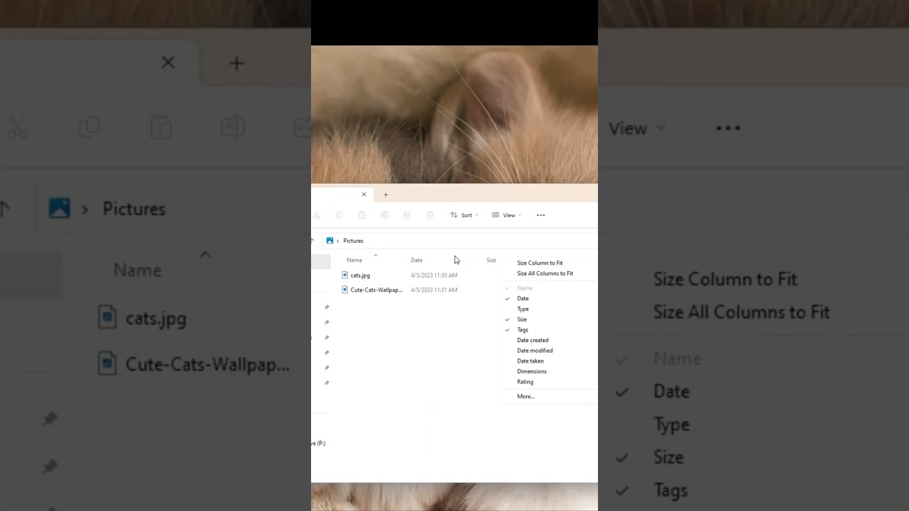 how to sort files by type