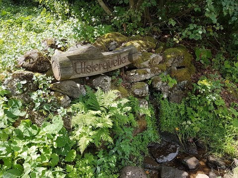 Extratour "Rotes Moor" Rhön August2018