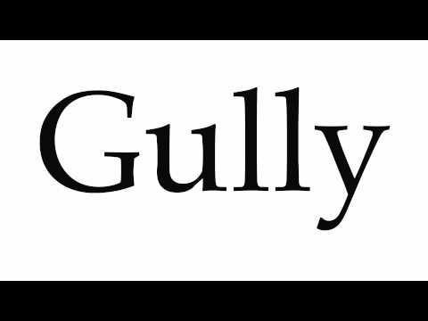 How to Pronounce Gully
