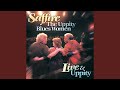 Middle Aged Blues Boogie
