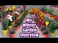 Winter Garden Overview Winter Flower Plants Overview Garden Overview Gardening Update