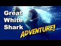 Great White Shark Adventure JONATHAN BIRD S BLUE WORLD