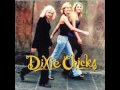 Dixie Chicks - There's Your Trouble