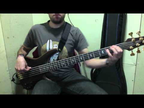 The Beatles - Sgt Pepper's Lonely Hearts Club Band (Bass Cover) [Pedro Zappa]