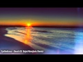Syntheticsax - Beach (DJ Dejan Manojlovic Remix ...