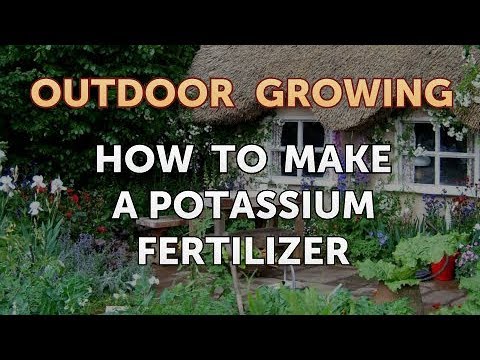 Will Salt or Vinegar Kill Bamboo