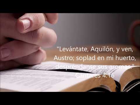 MEDITACIÓN DE HOY CON MILTON VILLANUEVA - M&T 1 de marzo