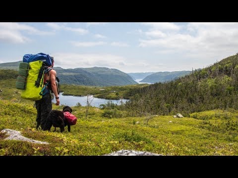 Viaje por fiordos de 10.000 años de antigüedad | Ep 1 - Osos y naturaleza - Hombre y perro