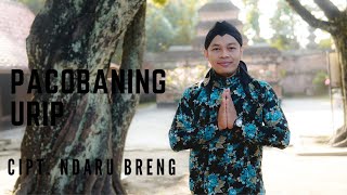 Download lagu PACOBANING URIP - Cipt NDARU BRENG | COVER BY SIHO LIVE ACOUSTIC mp3