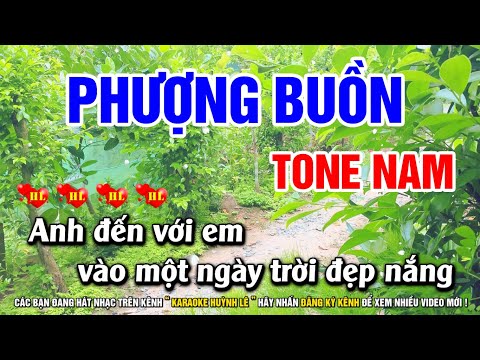 Karaoke PHƯỢNG BUỒN - Tone Nam Nhạc Sống Organ | Karaoke Huỳnh Lê