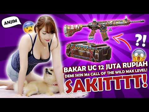 BAKAR UC 12 JUTA RUPIAH DEMI SKIN M416 CALL OF THE WILD Ft. BABA SI ANYING! - PUBG Mobile Indonesia