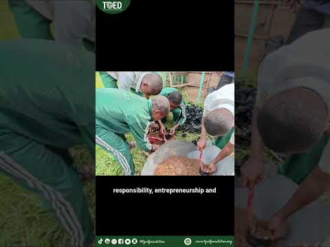 Seed to School: Growing Futures in Nigeria