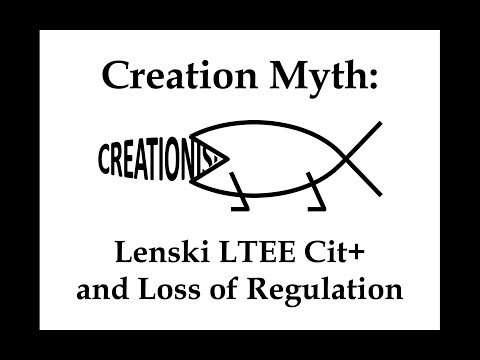Creation Myth: Lenski LTEE Cit+ and Loss of Regulation