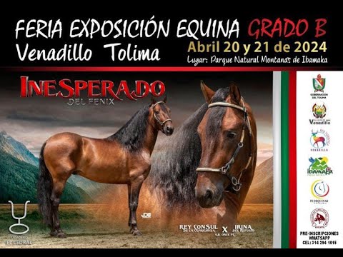 1ª EXPOSICION EQUINA GRADO "B" VENADILLO TOLIMA 2024 - DIA 2 - TROTE Y GALOPE / PASO FINO COLOMBIANO