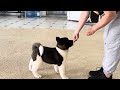 Первый раз в хендлинг-зал | Force Strider in Diversity
