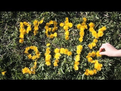 Robyn Dell'Unto - Pretty Girls [OFFICIAL LYRIC VIDEO]