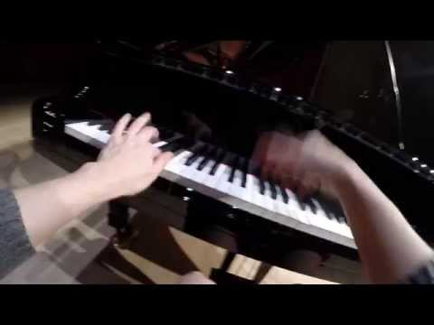 GoPro Hands View Beethoven Sonata No. 17 