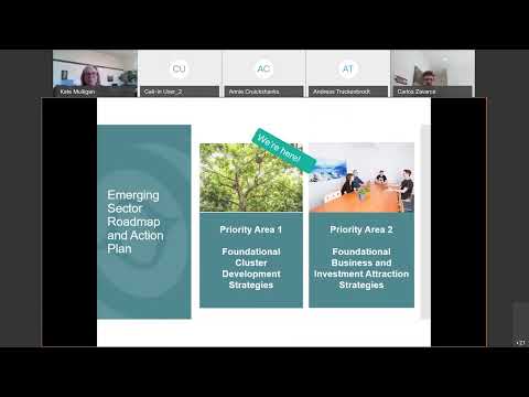 Emerging Sector Series Wrap Up Summary and Next Steps