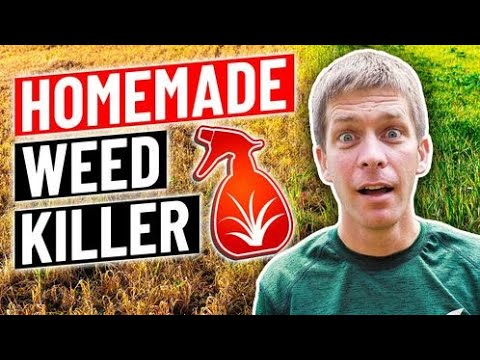 How to make homemade weed killer...vinegar, dish soap, salt