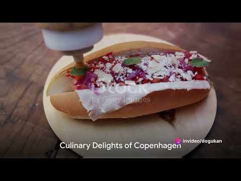 Exploring Copenhagen  A Travel Guide 2024