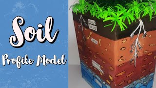 Science Project | Soil Profile Model | Science Model For School Going Kids | DIY