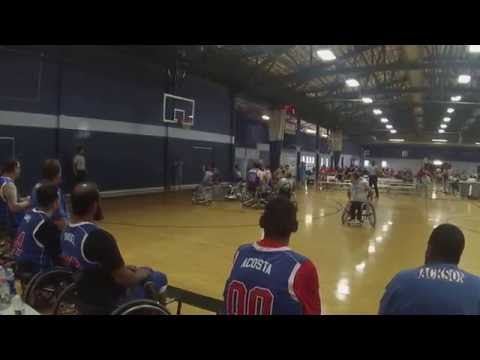 Silverbacks vs. Royals (Part 1)