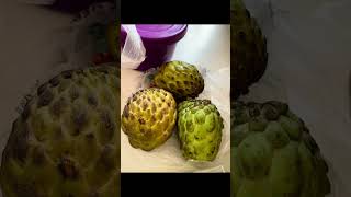 Бразил улс руу нүүсэн тэмдэглэл☘️