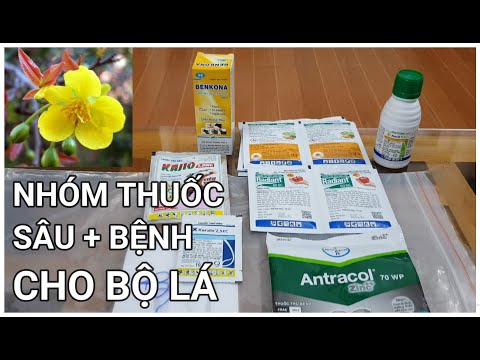 🔴 QBS22111 - NHÓM THUỐC SÂU BỆNH CHO BỘ LÁ | CÁC LOẠI THUỐC SÂU BỆNH PHUN CHO MAI VÀNG HIỆU QUẢ CAO