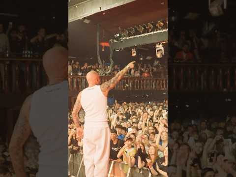 Es war krank, Hamburg 🤯 #celoabdi #olexesh #nimo