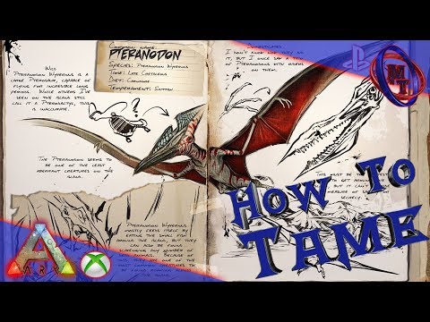 Ark Survival Evolved How To Tame Pteranodon