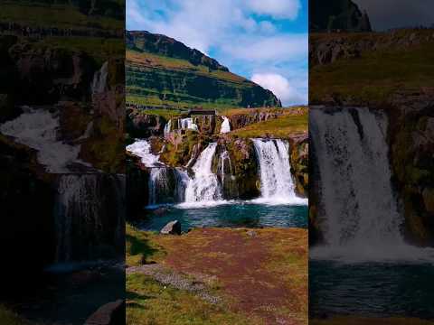 O Hansini 🥰🦆#Youtube#Whatsapp#Status#Beautiful #Nature#Shorts#shortviews