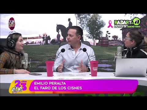 Entrevista - El Faro de los Cisnes