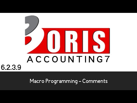 Oris Accounting 7 - Macro Programming - Comments (6.2.3.9)
