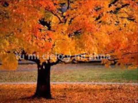 TU MI CIELO Y MI ALMA ( SANDRO GIACOBBE )  CON LETRA