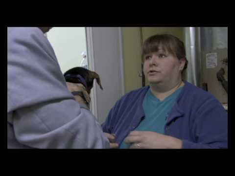 Borat Visiting Animal Control Centre