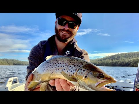 download lagu mp3 mp4 Brushy Lagoon Tasmania, download lagu Brushy Lagoon Tasmania gratis, unduh video klip Brushy Lagoon Tasmania