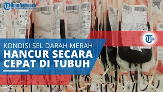 Anemia Hemolitik, Anemia yang Disebabkan oleh Kondisi ketika Sel Darah Merah Hancur sebelum Waktunya