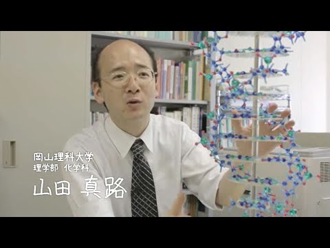 化学科の研究力