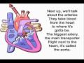 The Circulatory Song! 