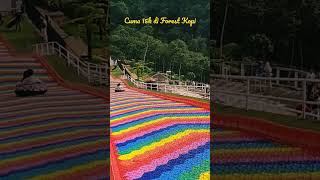 Download lagu Perosotan 🌈 Pelangi di Forest Kopi Kembang Langit Batang mp3