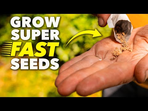 You Must Sow These Seeds in October