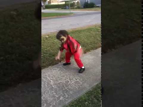 Knox-Michael Jackson-Thriller. cutest kid ever!